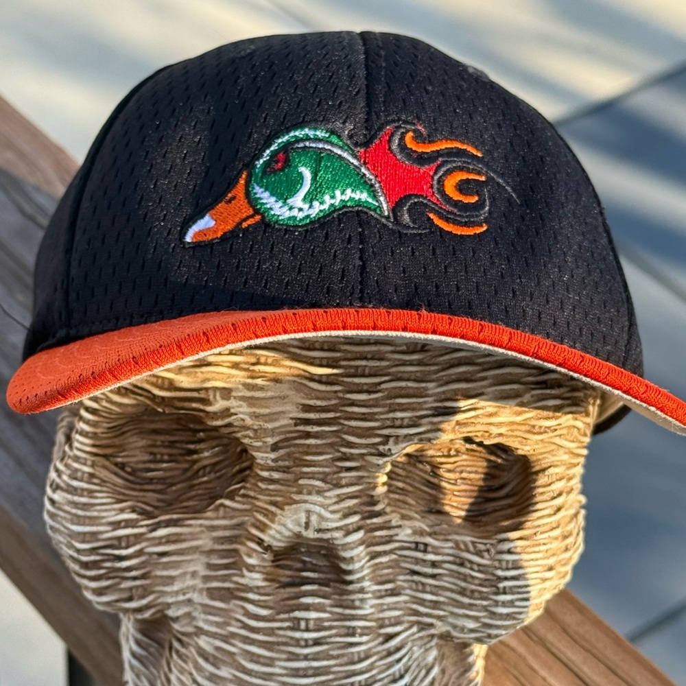 Fighting Woodies -AKA Down East Wood Ducks, NC TX-Rangers Single-A team.